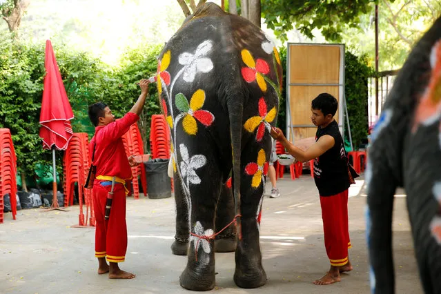 Mahouts paint an elephant ahead of the celebration of the Songkran water festival in Thailand's Ayutthaya province, north of Bangkok, April 11, 2016. (Photo by Jorge Silva/Reuters)