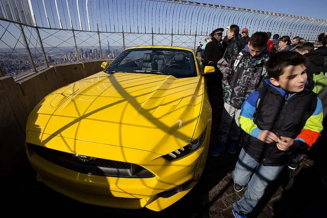 People walk past the Mustang Wednesday afternoon. It will remain on display through Friday. (Photo by John Minchillo/Associated Press)