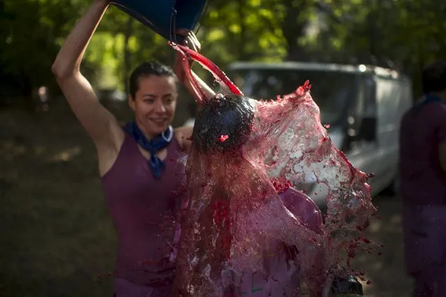 A woman tips a bucket of wine over a boy during the Batalla de Vino (Wine Battle) in Haro, northern Spain June 29, 2015. (Photo by Vincent West/Reuters)