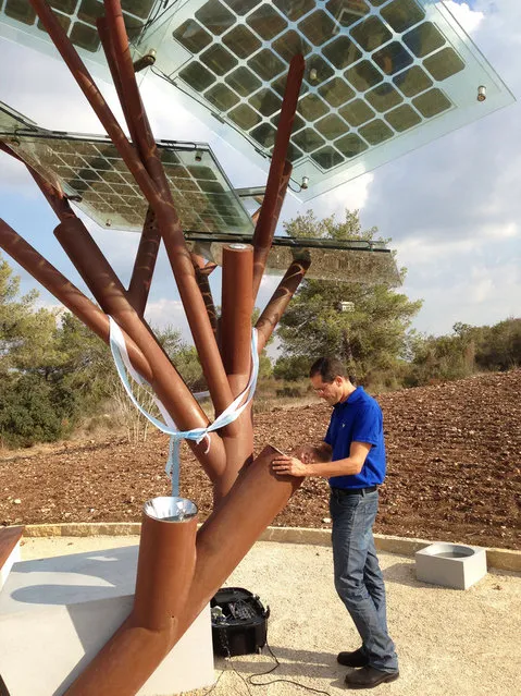Solar-Powered Tree "eTree" In Israeli