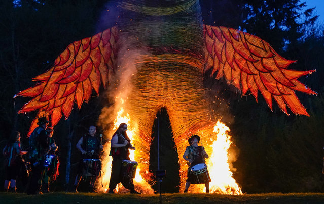 Members of the Pentacle Drummers perform in front of a burning wicker man during the Beltain Celtic Fire Festival at Butser Ancient Farm, in Waterlooville, Hampshire on Saturday, April 29, 2023. (Photo by Andrew Matthews/PA Images via Getty Images)