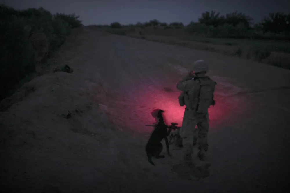 Afghanistan: Dogs of War Part 1