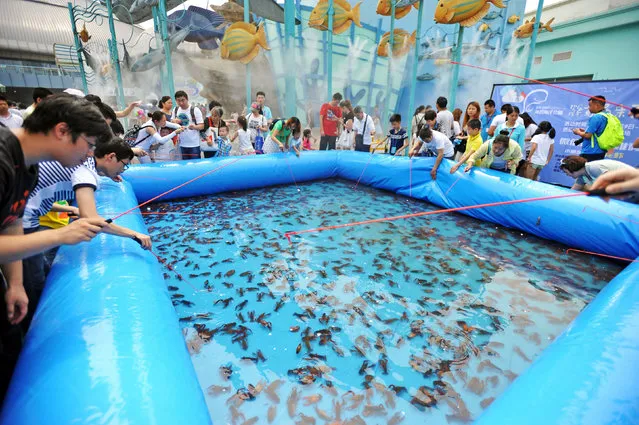People fish crayfish at an inflated pool inside an ocean park in Wuhan, Hubei province, China June 9, 2016. (Photo by Reuters/Stringer)