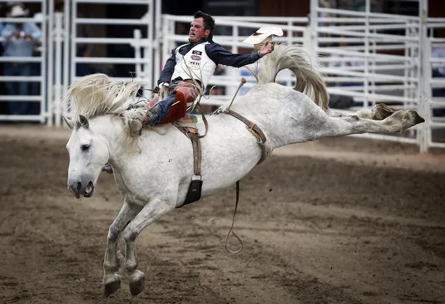 Richmond Champion, from The Woodlands, Texas, rides to victory during bareback rodeo finals action at the Calgary Stampede in Calgary, Alberta, Sunday, July 16, 2017. (Photo by Jeff McIntosh/The Canadian Press via AP Photo)