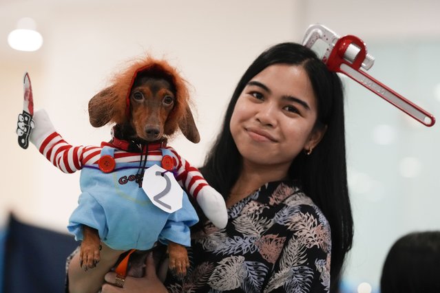 Karyll Cabutotan, right, poses with her dog Truffle during a Halloween pet party at a mall in Valenzuela city, Philippines on Saturday, October 19, 2024. (Photo by Aaron Favila/AP Photo)