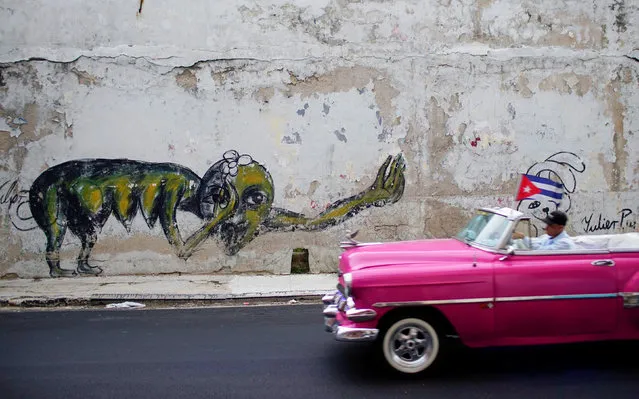A vintage car passes by a graffiti of Cuban Artist Yulier Rodriguez in Havana, Cuba, August 4, 2017. (Photo by Alexandre Meneghini/Reuters)