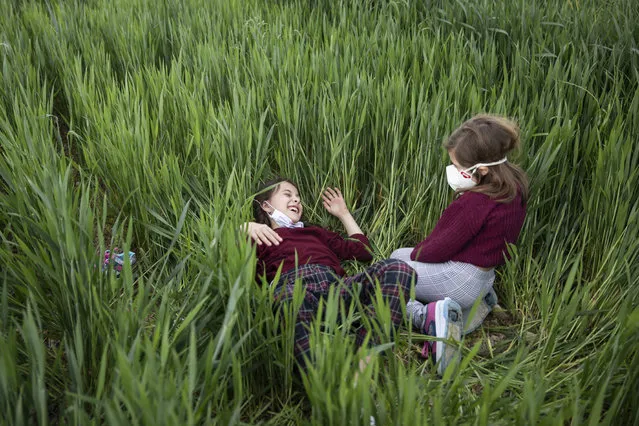 Two girls play in a wheat field next to their house on April 24, 2020 in Chimillas, Huesca Spain. The Spanish government has decreed that starting Sunday, April 26, children under the age of 14 will be able to leave the confinement caused by Covid-19 with an adult near their home at 9 a.m. at 9 p.m. Since the coronavirus lops pandemic began, children have been forced to remain at home. (Photo by Alvaro Calvo/Getty Images)