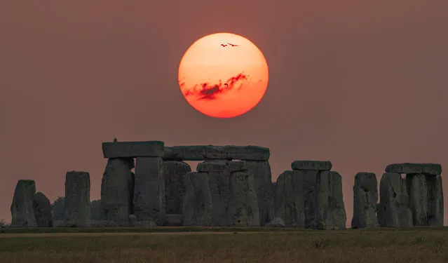Pictured is the Tuesday evening sunset at Stonehenge in Wiltshire on UK's hottest recorded day, July 19, 2022. (Photo by Nick Bull/pictureexclusive.com)