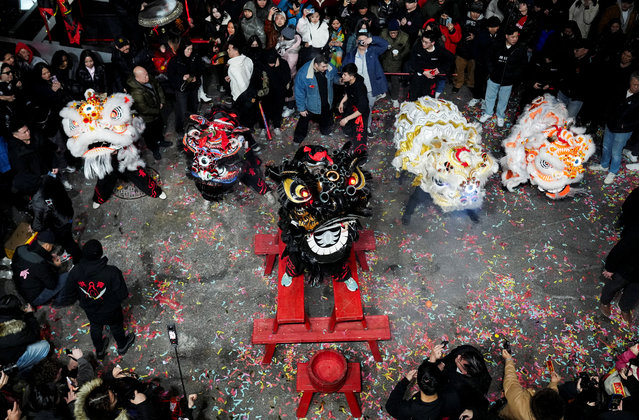 Dancers wearing lion costumes perform during a midnight Lunar New Year celebration, marking the Year of the Snake, in New York City's Chinatown section, in Manhattan, on January 29, 2025. (Photo by Adam Gray/Reuters)