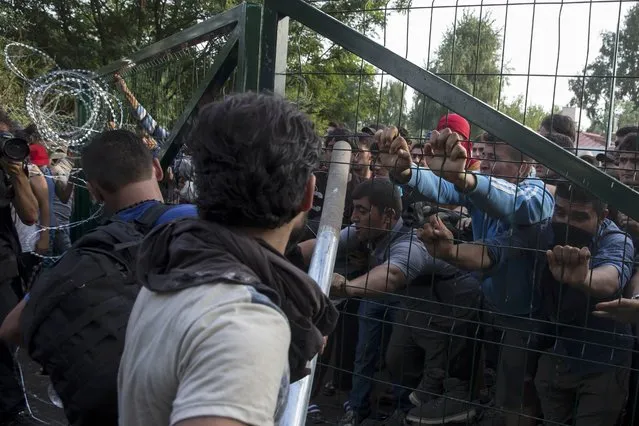 Migrants open a fence during clashes with Hungarian riot police at the border crossing with Serbia in Roszke, Hungary September 16, 2015. (Photo by Marko Djurica/Reuters)