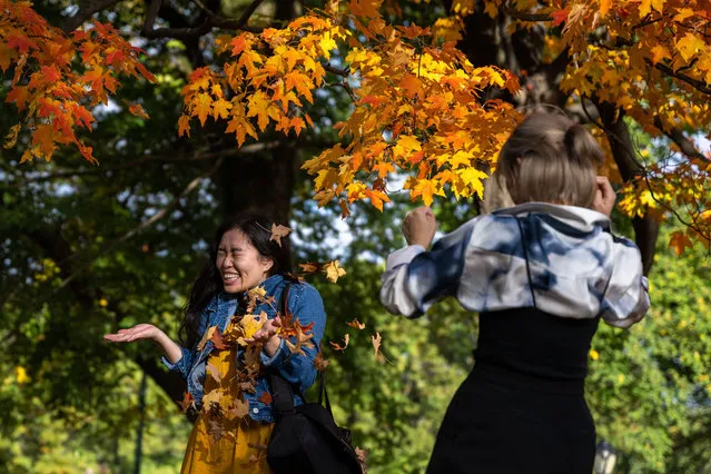 A woman reacts to having leaves thrown on her, while taking a photo, in Central Park as leaves begin to change colors on October 26, 2022 in New York City. Leaves around parts of Central Park have begun changing colors while much of Long Island and Upstate New York have already peaked. (Photo by Alexi Rosenfeld/Getty Images)
