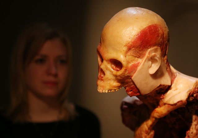 An artwork entitled 'Are you still mad at me ?' by John Isaacs is displayed at the Death: A Self-portrait exhibition at the Wellcome Collection on November 14, 2012 in London, England. The exhibition showcases 300 works from a unique collection by Richard Harris, a former antique print dealer from Chicago, devoted to the iconography of death. The display highlights art works, historical artifacts, anatomical illustrations and ephemera from around the world and opens on November 15, 2012 until February 24, 2013.  (Photo by Peter Macdiarmid)
