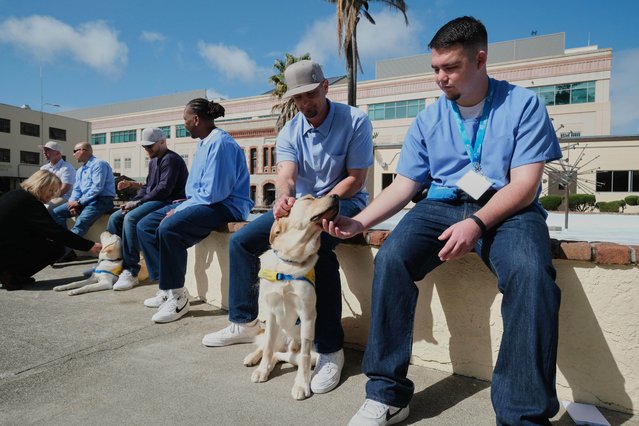 Incarcerated men at the San Quentin Rehabilitation Center pet a service dog in training at the prison in San Quentin, Calif., Friday, March 28, 2025. (Photo by Eric Risberg/AP Photo)