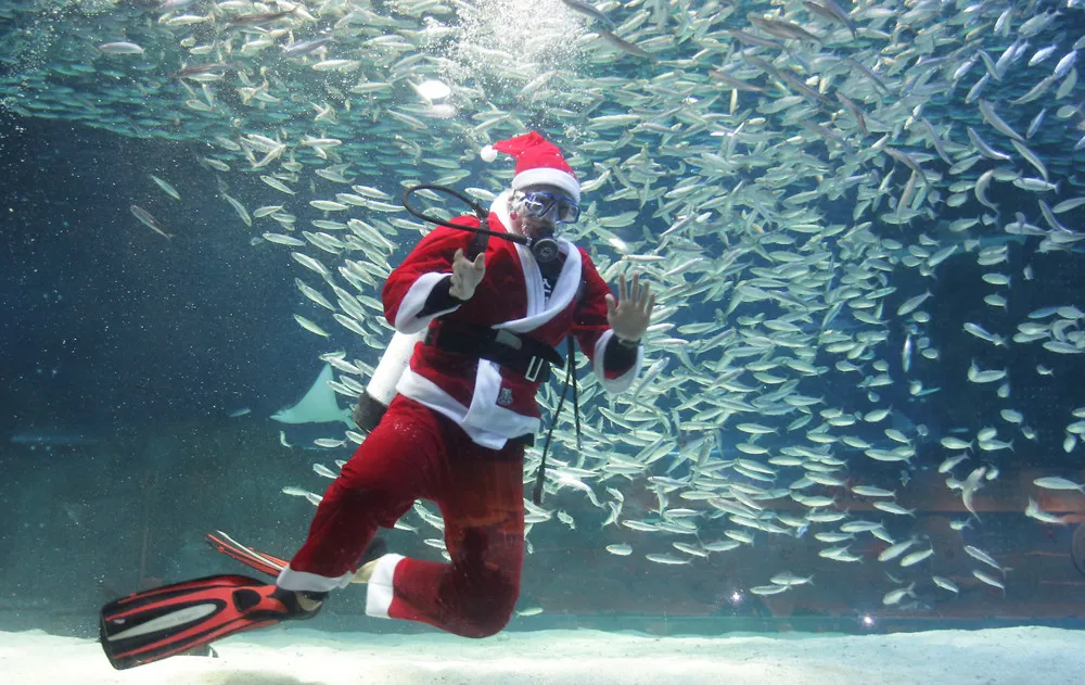 Santa Claus Diver Performs In Seoul