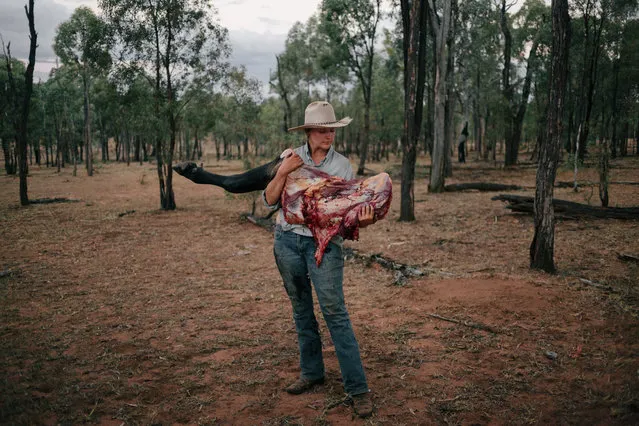 Station ringer Chloe Anderson holds the front leg of a freshly slaughtered animal in far north Queensland, Australia. The meat will serve as the station's food for the next 3 weeks. (Photo by Benjamin Rutherford)