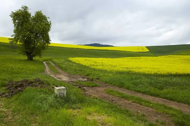 A marker is stands in a field on the border between Switzerland (back) and Germany (front) in Blumberg near Schaffhausen May 2, 2014. (Photo by Denis Balibouse/Reuters)