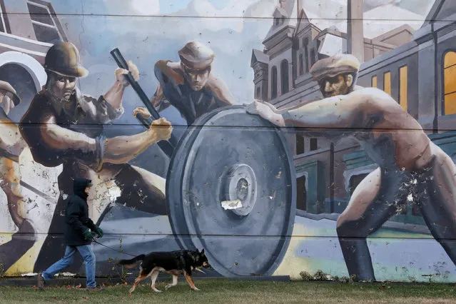 A man walks his dog past a mural depicting factory workers in the historic Pullman neighborhood in Chicago November 20, 2014. (Photo by Andrew Nelles/Reuters)