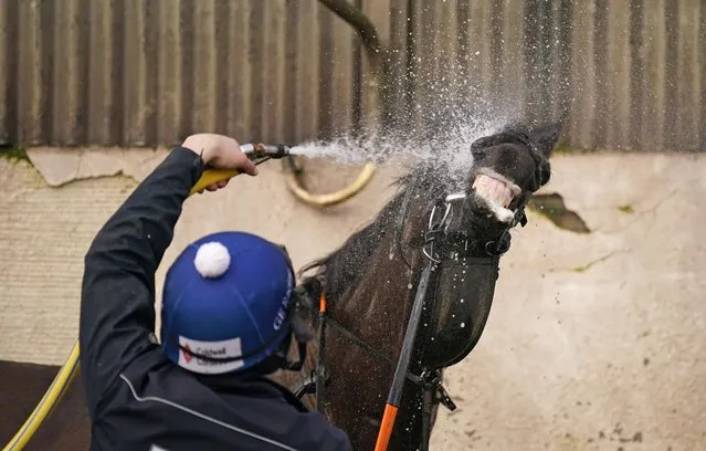 Delta Work is hosed down by Darren Treacy during a visit to Gordon Elliott's yard at Longwood in County Meath, Ireland on Tuesday, February 7, 2023. (Photo by Niall Carson/PA Images via Getty Images)