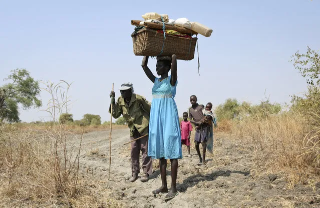 In this photo taken Sunday, January 21, 2018, a recently-displaced family walk into Akobo town, one of the last rebel-held strongholds in South Sudan, after fleeing recent fighting when government troops attacked their village. (Photo by Sam Mednick/AP Photo)