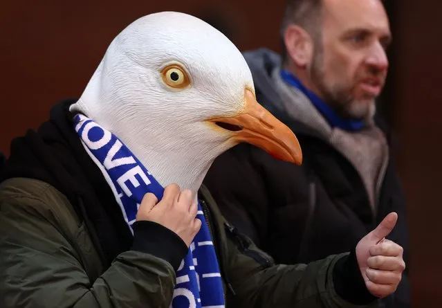 A fan of Brighton & Hove Albion, wearing a Seagull mask, looks on prior to the Emirates FA Cup Fifth Round match between Stoke City and Brighton and Hove Albion at Bet365 Stadium on February 28, 2023 in Stoke on Trent, England. (Photo by Naomi Baker/Getty Images)