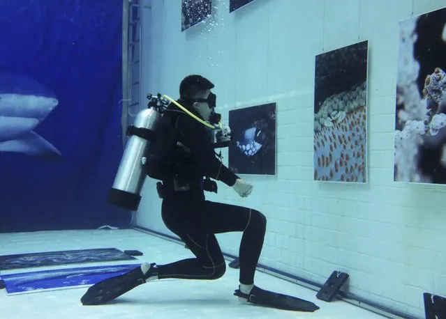 A diver looks at an underwater display of photographs at an exhibition held inside an indoor diving pool at Inner Space club in Beijing, China, November 5, 2015. (Photo by Kim Kyung-Hoon/Reuters)