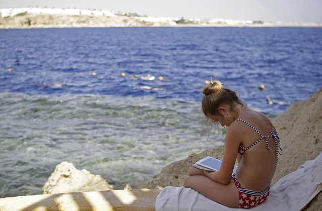 A Russian tourists reads a book by the shore of the Red Sea at a hotel that is hosting many travelers waiting to be evacuated from the resort city of Sharm el-Sheikh, south Sinai, Egypt, Saturday, November 7, 2015. Russia has suspended all flights to Egypt, joining the U.K., which had specifically banned all flights to the resort city in response to a Russian plane crash last week in Egypt's Sinai. Empty charter planes have been flying to the resort to bring home stranded Russian and British tourists. (Photo by Ahmed Abd El-Latif/AP Photo)