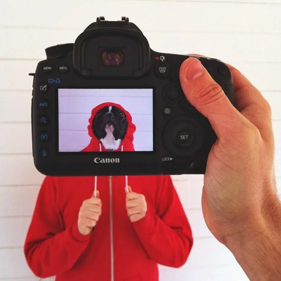 Portraits of Pets and Their Owners By Zach Rose