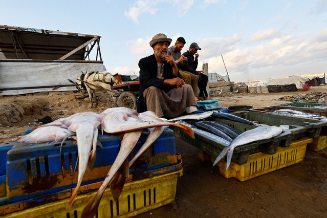 Palestinians sell fish during a ceasefire between Israel and Hamas, at the seaport of Gaza City, on November 12, 2025. (Photo by Mahmoud Issa/Reuters)