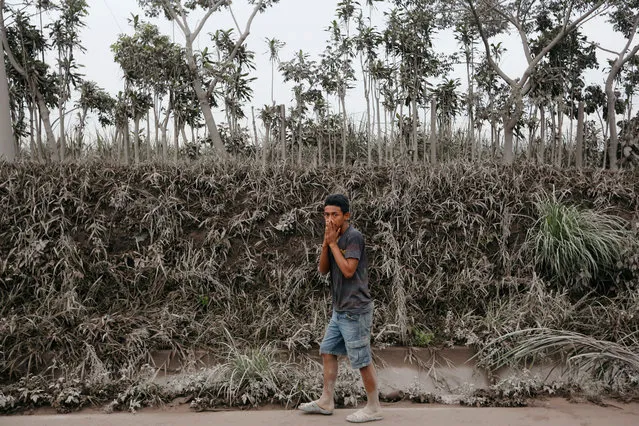 A man covers his face as he walks on the area affected by an eruption from Fuego volcano in the community of San Miguel Los Lotes in Escuintla, Guatemala on June 4, 2018. (Photo by Luis Echeverria/Reuters)