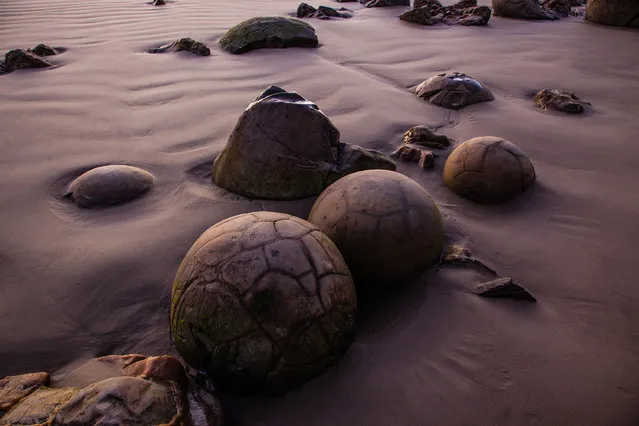 “Giant Marbles”. Like ancient giant marbles the Moeraki Boulders are strewn across Koekohe Beach on New Zealand's South Island. The light of sunrise casts an otherwordly hue on these rock formations. (Photo and caption by Marcus Haid/National Geographic Traveler Photo Contest)