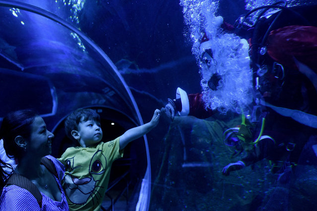 A child touches the glass as he looks at biologist Felippe Luna, dressed as Santa Claus, swimming among fish at the AquaRio aquarium in Rio de Janeiro, Brazil, om December 18, 2025. (Photo by Tita Barros/Reuters)