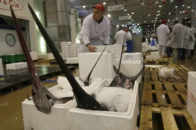 Swordfish are sold at the fish pavilion in Rungis International food market as buyers prepare for the Christmas holiday season in Rungis, south of Paris, December 11, 2015. (Photo by Philippe Wojazer/Reuters)