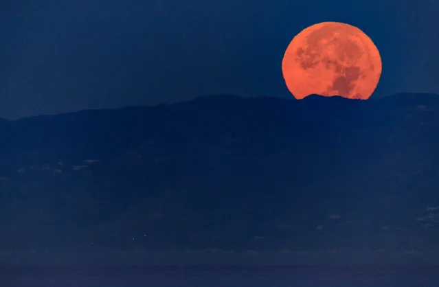 The moon sets during its closest orbit to the Earth since 1948 on November 14, 2016 in Venice Beach, California. The so-called Supermoon appears up to 14 percent bigger and 30 percent brighter as it comes about 22,000 miles closer to the Earth than average, though to the casual observer, the increase appears slight. (Photo by Christopher Polk/Getty Images)
