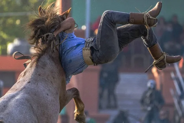 A gaucho is thrown from a horse during the “Criolla Week” rodeo in Montevideo, Uruguay, Thursday, April 14, 2022. Every April since 1925, the Criolla Week Festival is celebrated in Montevideo and gauchos arrive in the city and tame and ride wild horses. (Photo by Matilde Campodonico/AP Photo)