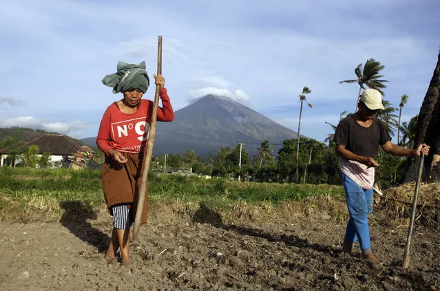 Farmers work on their land with Mount Agung seen in the background in Karangasem, Bali, Indonesia, Tuesday, July 3, 2018. The volcano on the Indonesian tourist island of Bali erupted Monday evening, ejecting a 2,000-meter-high (6,560-foot-high) column of thick ash and hurling lava down its slopes. (Photo by Firdia Lisnawati/AP Photo)