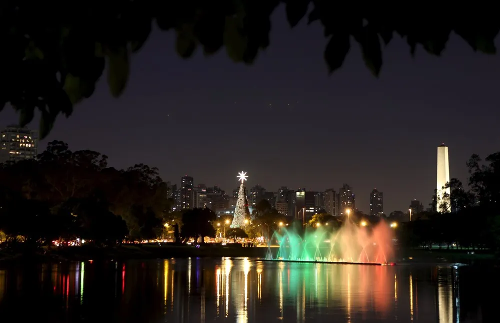 Christmas Trees around the World