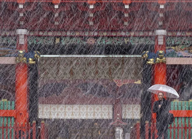 A man stands near the gate in the snow at Kanda Myojin shrine in Tokyo, Thursday, November 24, 2016. (Photo by Eugene Hoshiko/AP Photo)