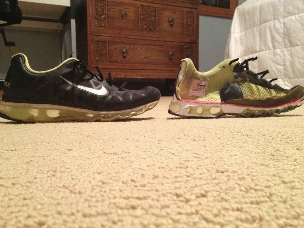 Things Cut in Half Part1