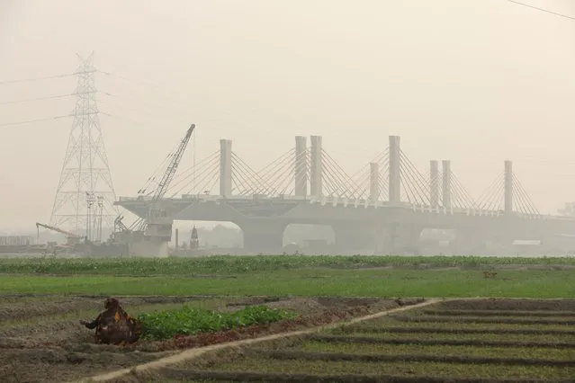 A woman works on the fields next to a construction site of a bridge on the field on the Yamuna floodplains on a smoggy day in New Delhi, India on November 9, 2023. (Photo by Anushree Fadnavis/Reuters)