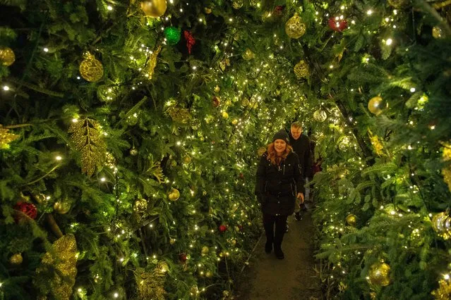 People walk through a light tunnel during the 34th edition of the “Stockbridge Main Street at Christmas”, a holiday lights show, at Naumkeag in Stockbridge, Massachusetts, on December 15, 2023. (Photo by Joseph Prezioso/AFP Photo)