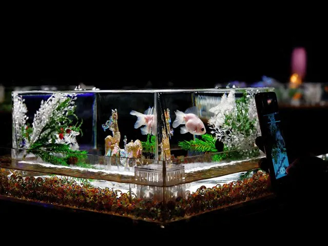 A visitor photographs an installation with a goldfish in a tank, in the theme of celebrating the upcoming Christmas season at the Art Aquarium Museum in Tokyo, Japan on December 1, 2023. The exhibition with about 5,000 goldfish goes on till December 27. (Photo by Kim Kyung-Hoon/Reuters)