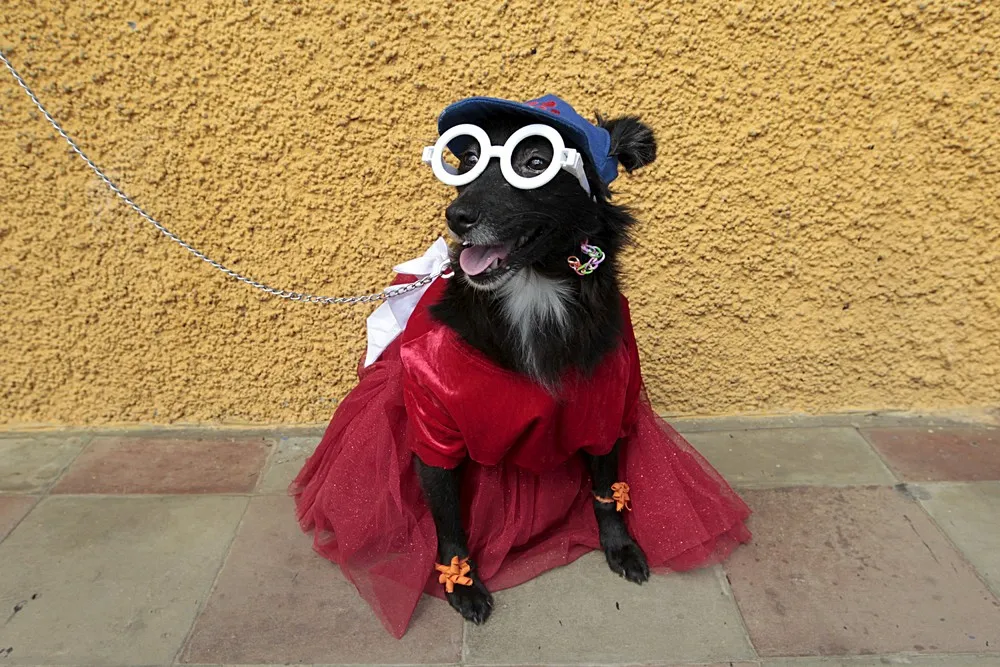 The Day in Photos – March 15, 2016