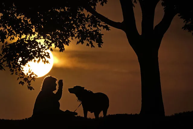 A woman plays with her dog at sunset, Saturday, November 6, 2021, at a park in Kansas City, Mo. The sun will set an hour earlier Sunday as people in most of the United States set their clocks back an hour to switch to standard time. (Photo by Charlie Riedel/AP Photo)