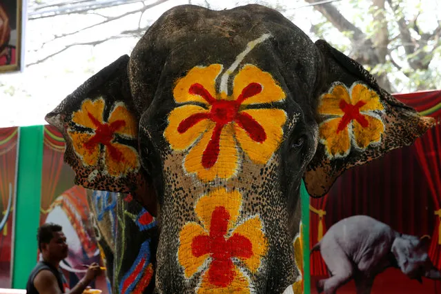 Mahouts paint an elephant ahead of the celebration of the Songkran water festival in Thailand's Ayutthaya province, north of Bangkok, April 11, 2016. (Photo by Jorge Silva/Reuters)