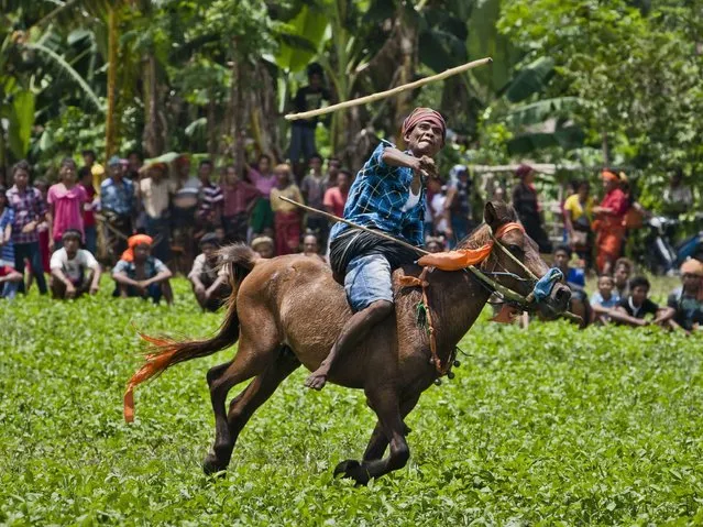 A Pasola rider throwing his spear during the Pasola war festival at Ratenggaro village in Sumba Island. (Photo by Ulet Ifansasti/Getty Images)