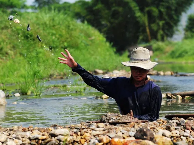 A man removes stones from the river as he pans for gold in Lampang. (Photo by Borja Sanchez-Trillo/Getty Images)