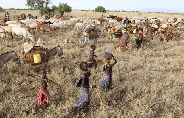 Turkana people migrate in order to find water and grazing land for their cattle in Ilemi Triangle, Kenya, July 23, 2019. (Photo by Goran Tomasevic/Reuters)