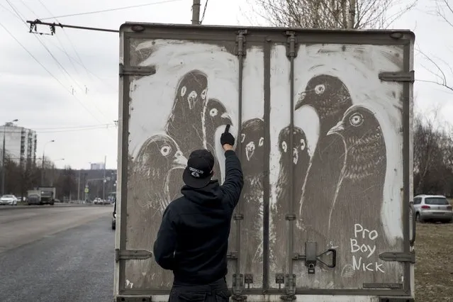 In this photo taken on Saturday, April 22, 2017, artist Nikita Golubev draws pigeons on the back of a dirty delivery truck, in Moscow, Russia. (Photo by Pavel Golovkin/AP Photo)