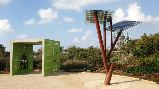 Solar-Powered Tree "eTree" In Israeli