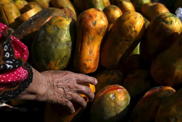 A woman holds a papaya to buy it at a vegetable market near Duri train station in Jakarta, Indonesia August 3, 2015. (Photo by Reuters/Beawiharta)